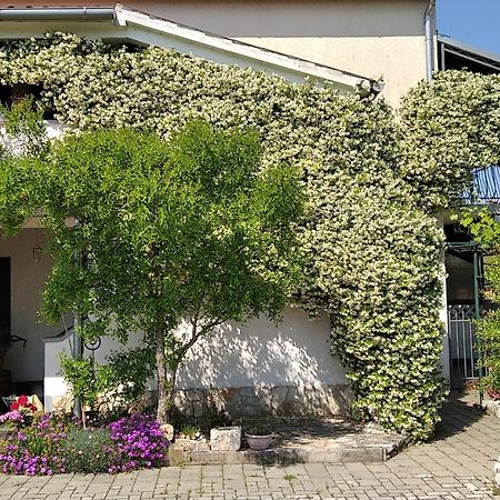 Apartment Sasa Bozac Porec Exterior photo