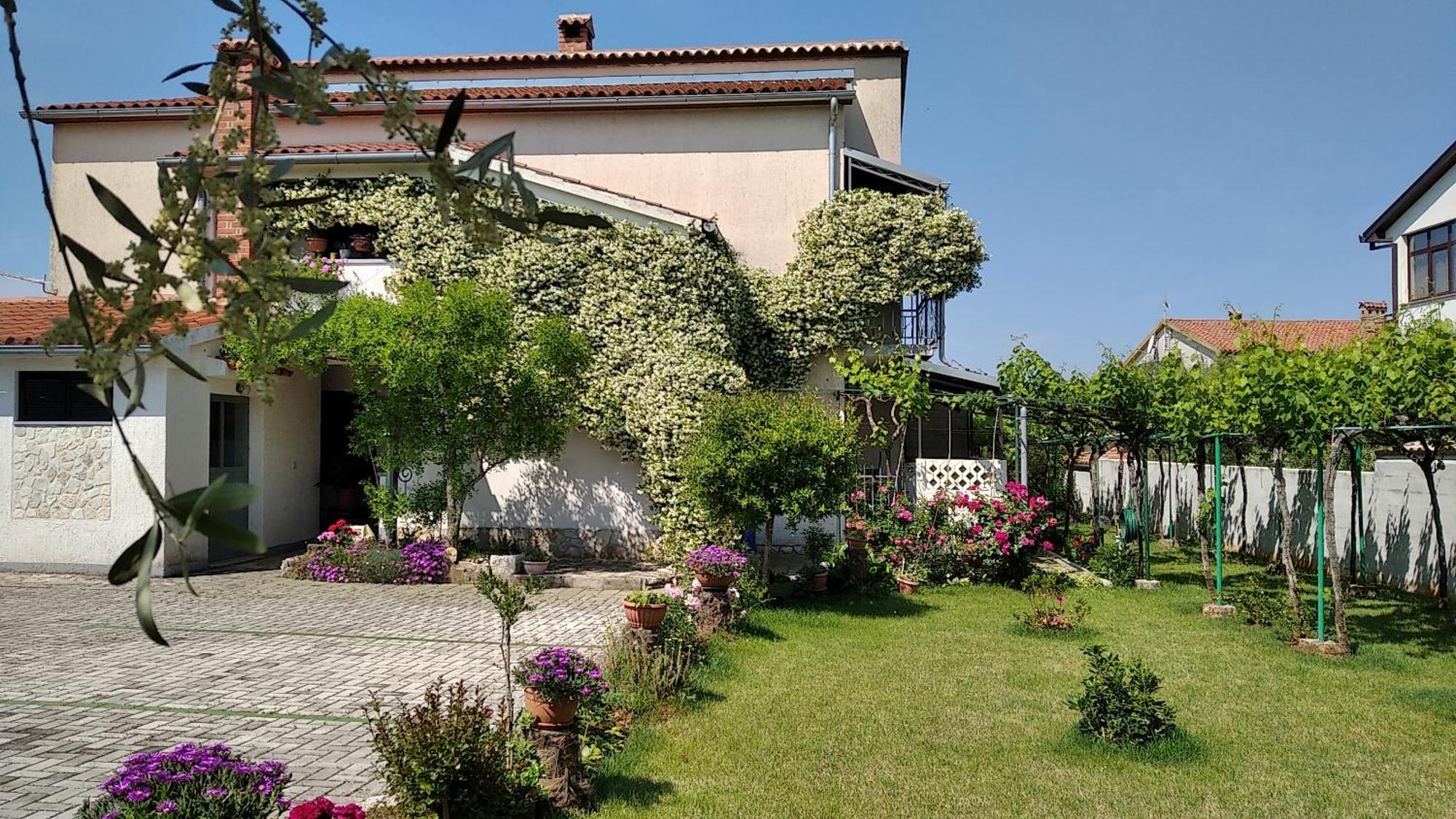 Apartment Sasa Bozac Porec Exterior photo